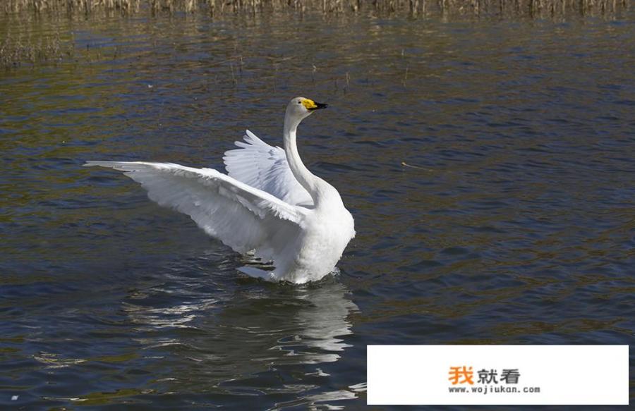 一个人出去旅游是什么感觉？快乐多一点还是孤单多一些