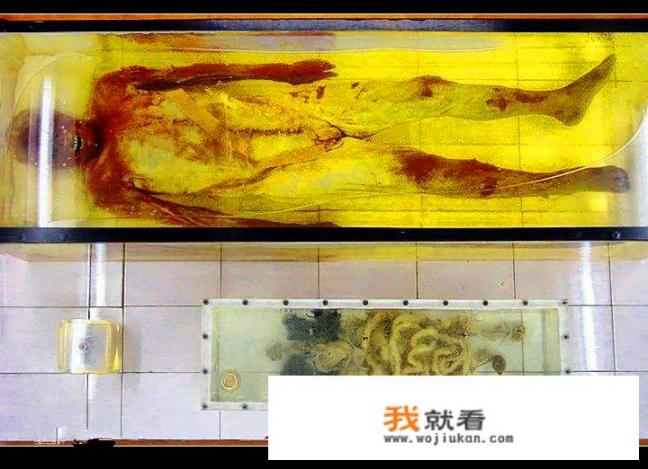 湖北荆州曾出土距今两千多年的软尸“遂先生”。这种软尸是怎么形成的