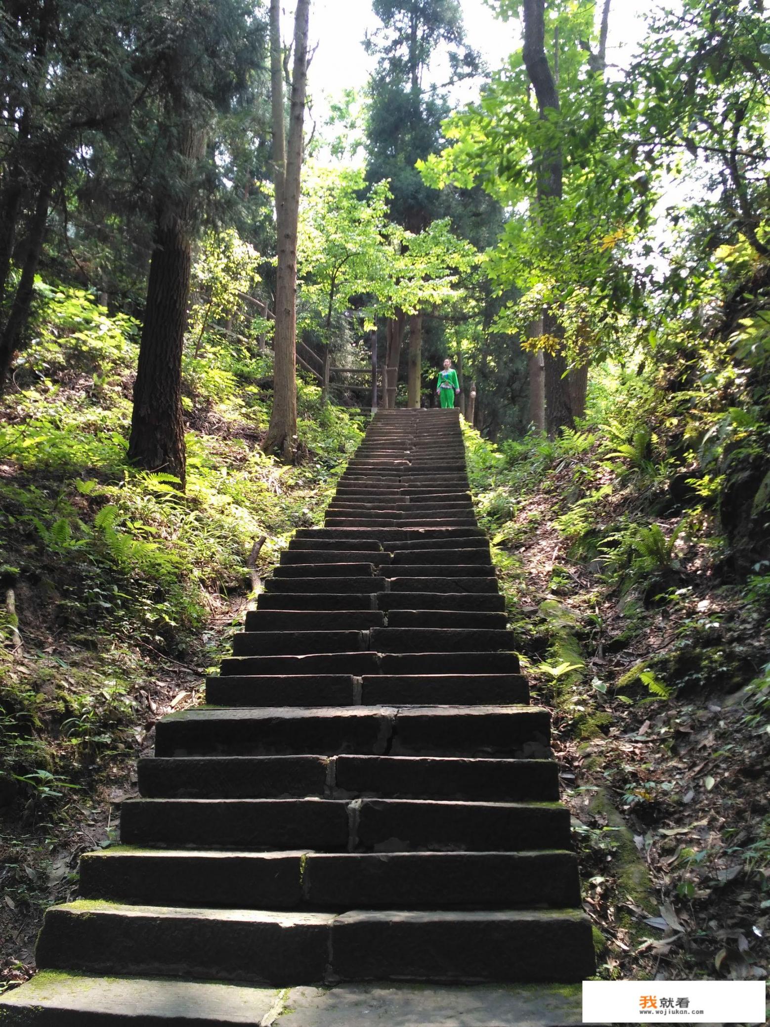 有哪些职业是可以一边旅行，一边挣钱养活自己的