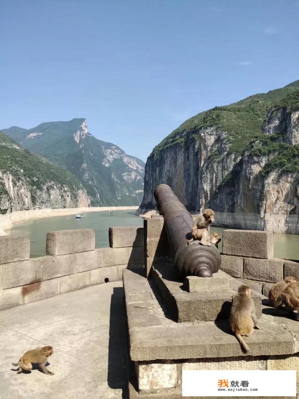 活在当下最重要，等疫情结束后，想买辆车去旅游，你们能帮我参考下吗
