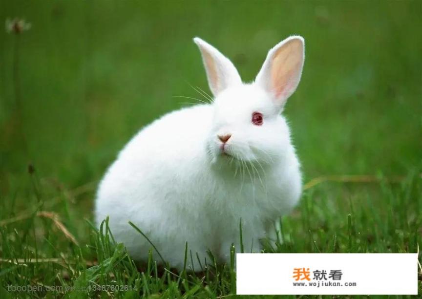 当今60%的青少年沉迷网络游戏，请问怎样才能取缔网络游戏呢_3DS有哪些好玩的游戏呢