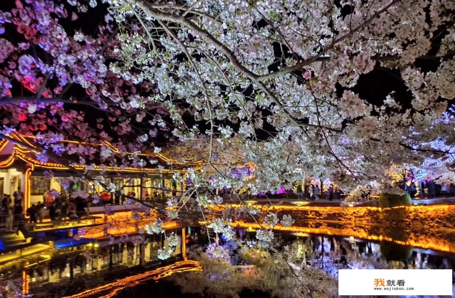 春天景象如此美好，能将手机拍照到的春天美景拿出来分享一下吗_华为珍妮手机