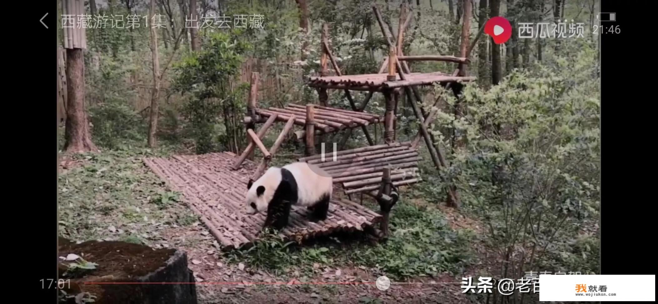 毫无出远门经验的人独自去旅行有什么建议和注意事项吗_你每次旅游的感觉是什么