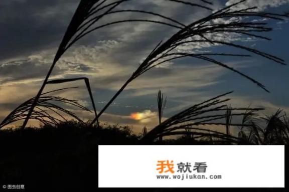 有数据显示：《平凡的世界》是网上阅读人数最多的一部小说，这部小说是纯文学么_看小说《平凡的世界》很难受，为什么作者要把美丽善良的田晓霞活生生写死呢