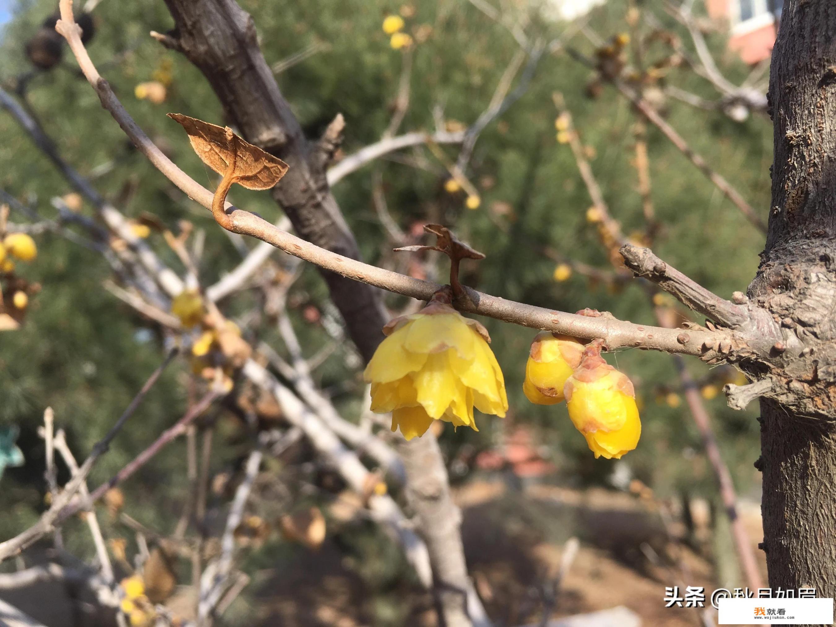 中学生痴迷网络游戏，导致影响学习，应该怎么办_多少人认为手机游戏对青少年的危害大？多少人支持禁止孩子玩手机游戏，为什么