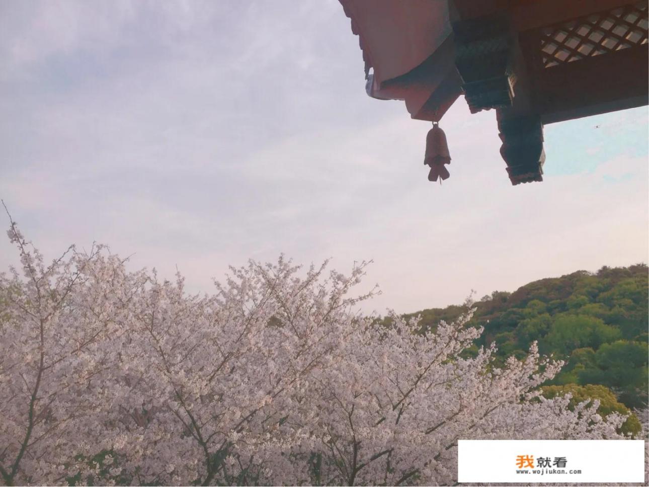 校园防诈骗温馨提示_你见过哪些离谱的事儿