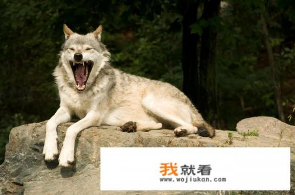 亲戚能过分到什么程度_长沙银行10元洗车怎么样