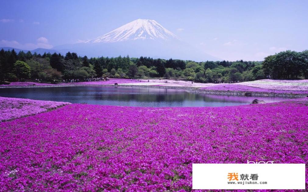 日本九州自由行，应该怎么玩_旅行安全，带父母和长辈一起去日本安排怎么样的行程比较轻松