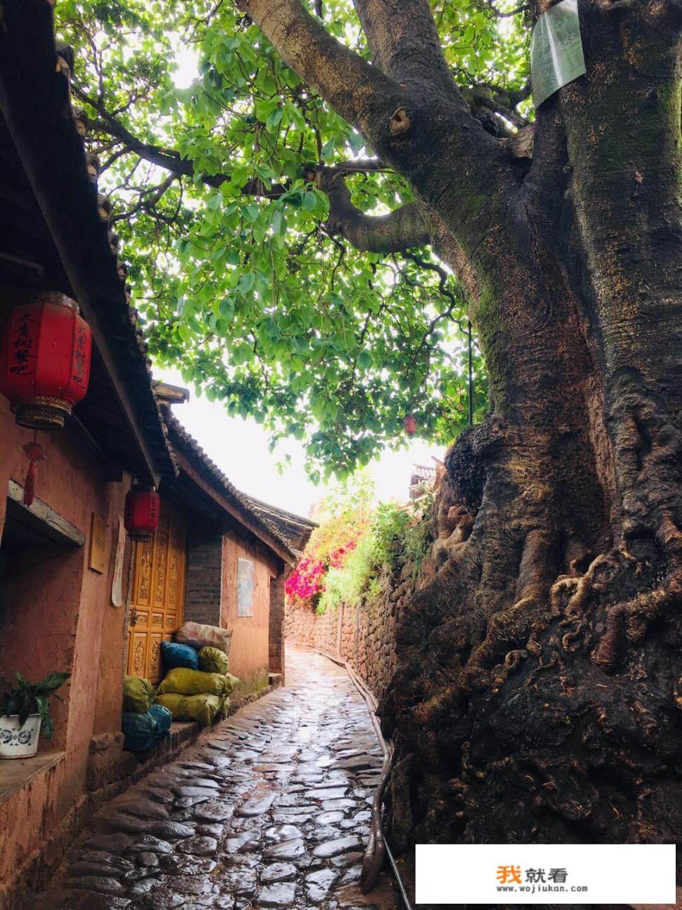 股票纯小白表示好奇：现在买旅游股票并持有至疫情结束市场恢复，甚至更长期持有，会“稳赚“吗_现在疫情下的国内旅游业已经恢复了吗