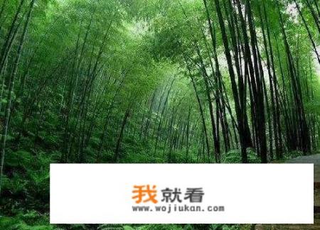 有山有水、景色优美的地方都是哪些_旅游景点山推荐