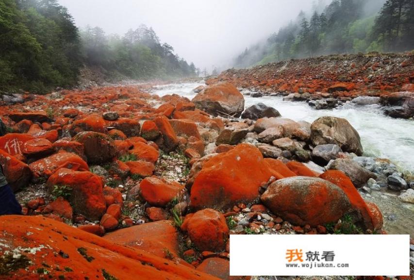 什么时候才能去看雅家梗红石滩_花小梗旅游去