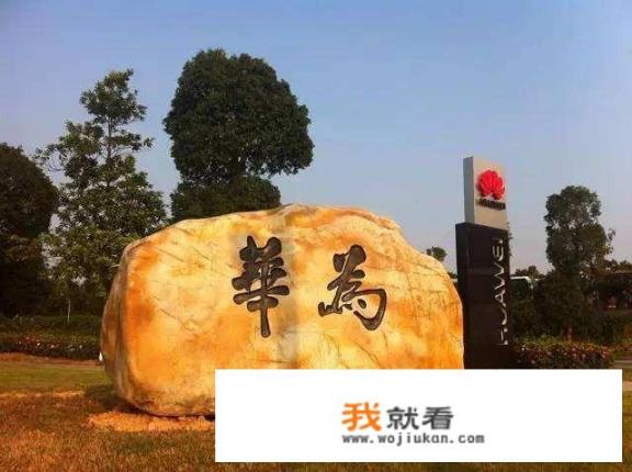 毕业生除了校招，还有其他的什么方式入职呢_大学生毕业都是怎么找工作的