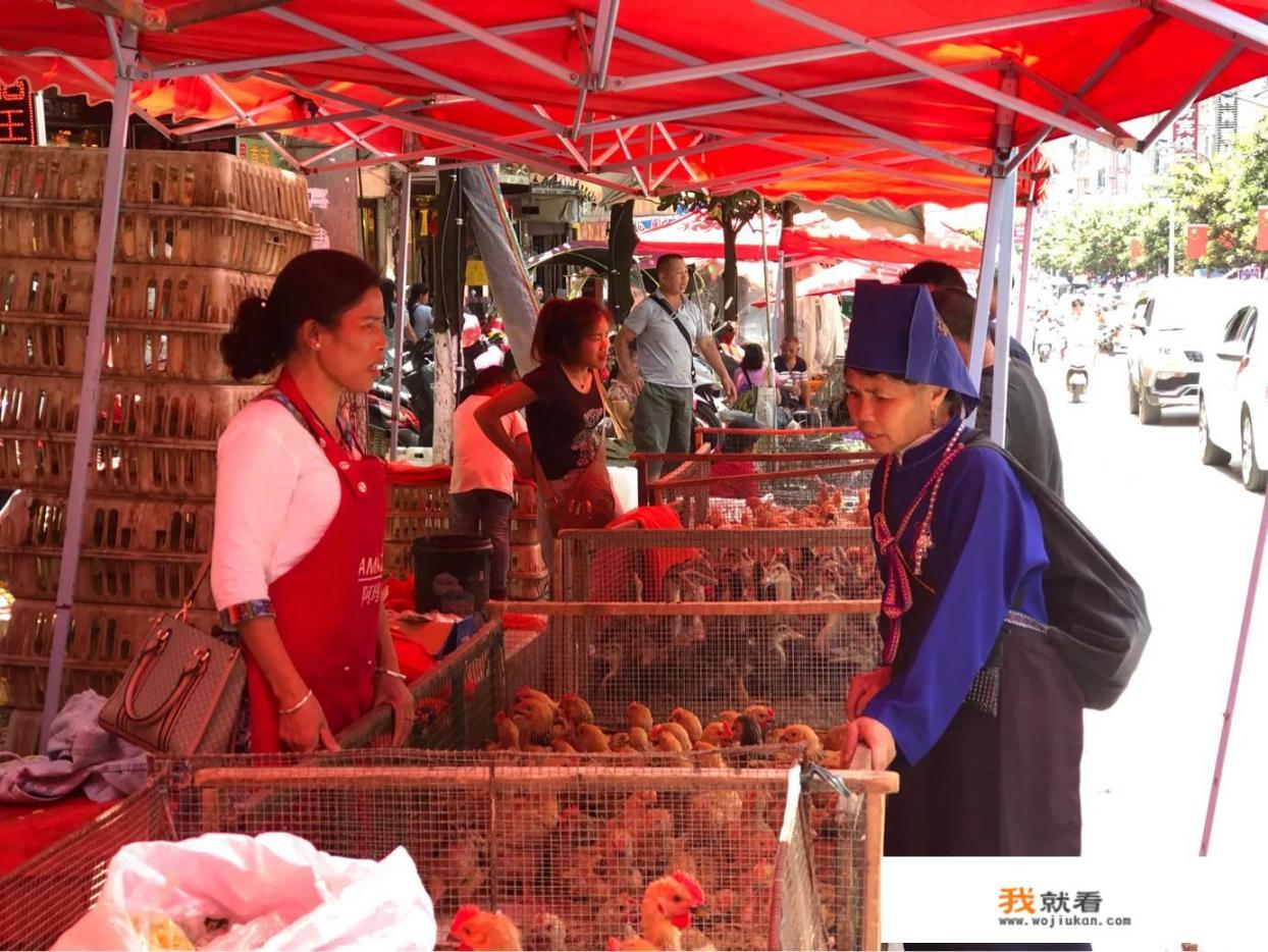 文旅局属于哪个部门管理_中国旅行社至今严禁跨省旅游业务，继续下去旅行社都倒闭了好吗