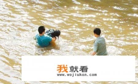 泰州女子手拿酒瓶跳河：至少3名路人跳河救人，其中一位损失了钱包驾照身份证, 你怎么看_泰州老年公交卡在哪交费