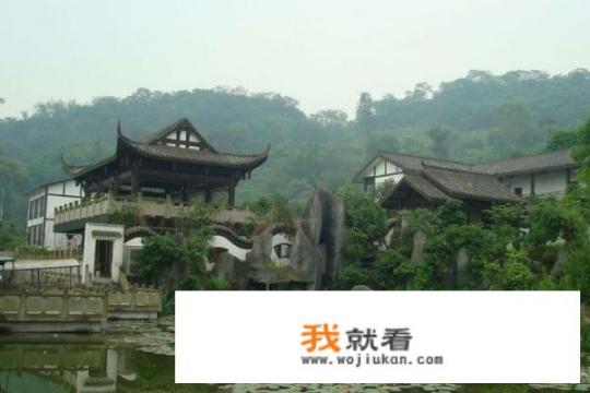 泸州旅游必去景区介绍_泸州旅游必去景区介绍