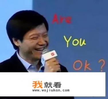 华为芯片是自己生产的吗_雷军几年前宣布要把芯片按沙子的价格卖，他做到了吗