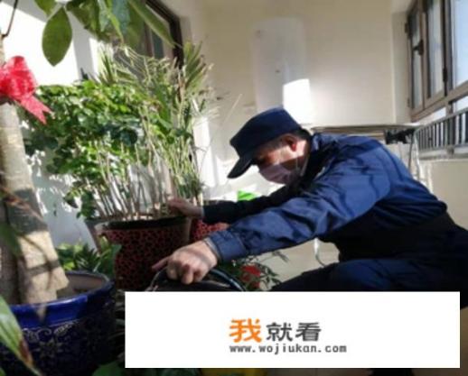 华为手机怎么设置菜谱_疫情期间，你住的小区有哪些防疫“黑科技”