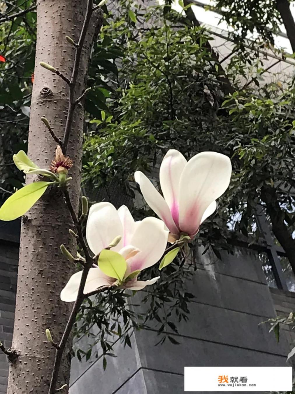 二十二岁的儿子，沉迷网络游戏，怎么劝也不听，怎么办呀_孩子4、5岁就用手机打网游，作为父亲该怎么办