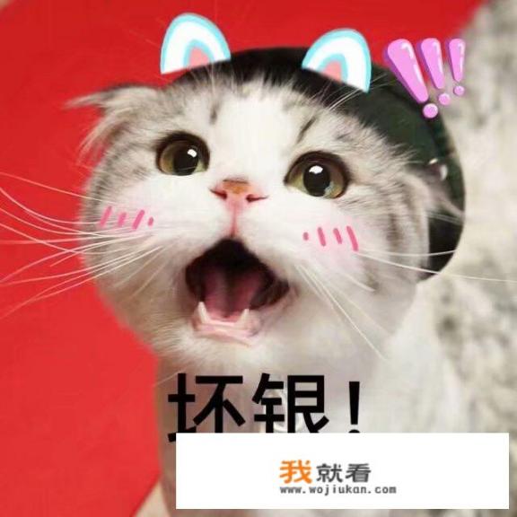 在你家乡当地曾发生过轰动一时的奇案，是悬案吗？有哪些_你经历过什么雷人的事