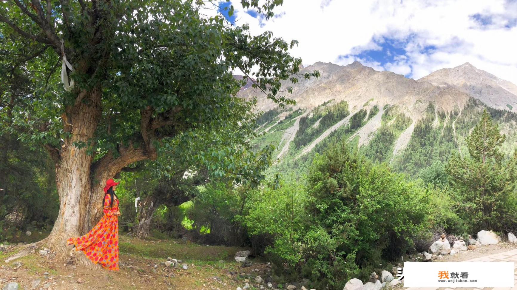 旅游业的风险与防控措施有哪些_一个人出去旅游怎么更好的保证自己的安全