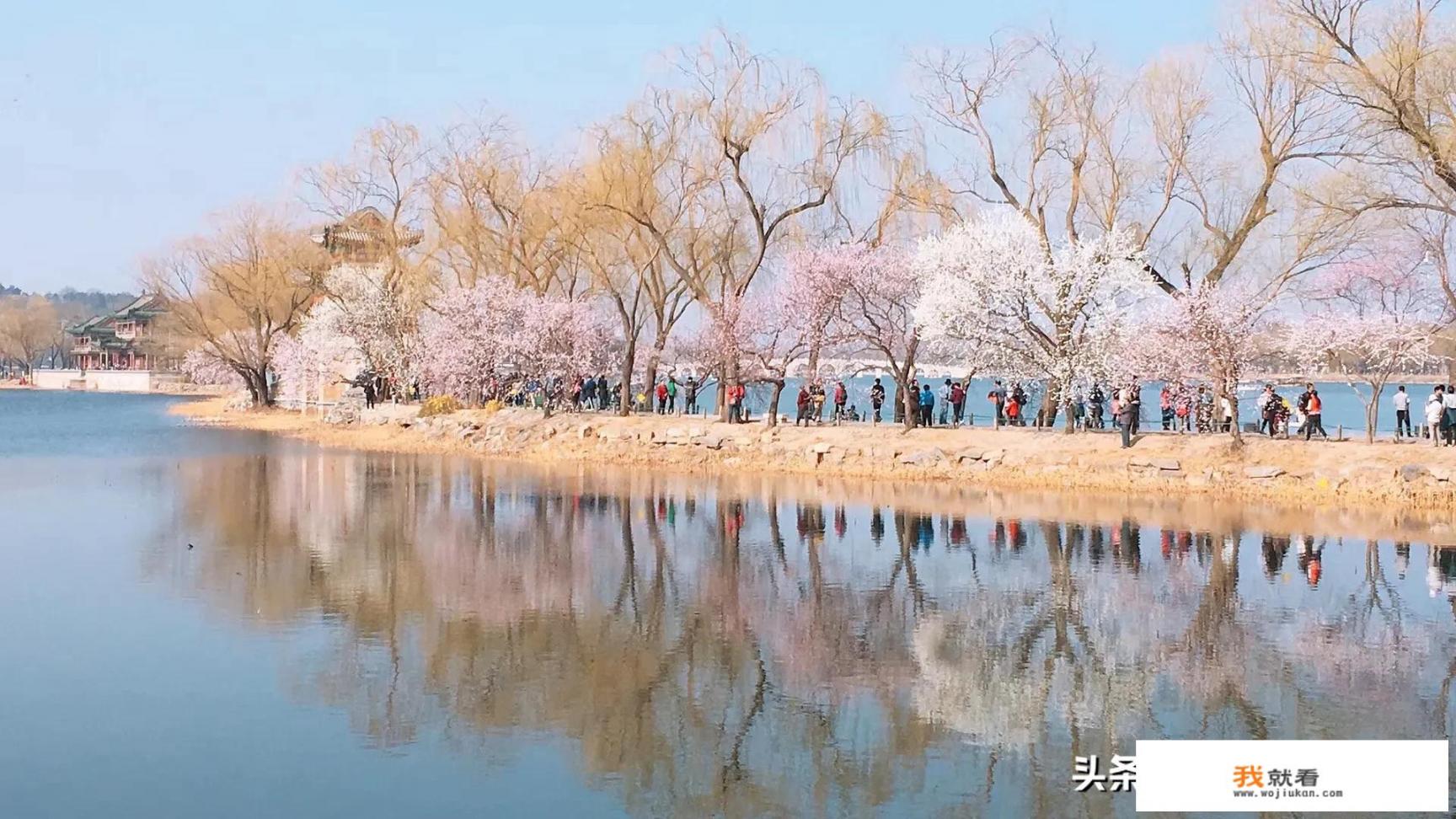 胖东来这么火，为什么不在全国开店，做第二个海底捞不香吗_大地回春，祖国各地的朋友们，能晒晒你们家乡的春光吗