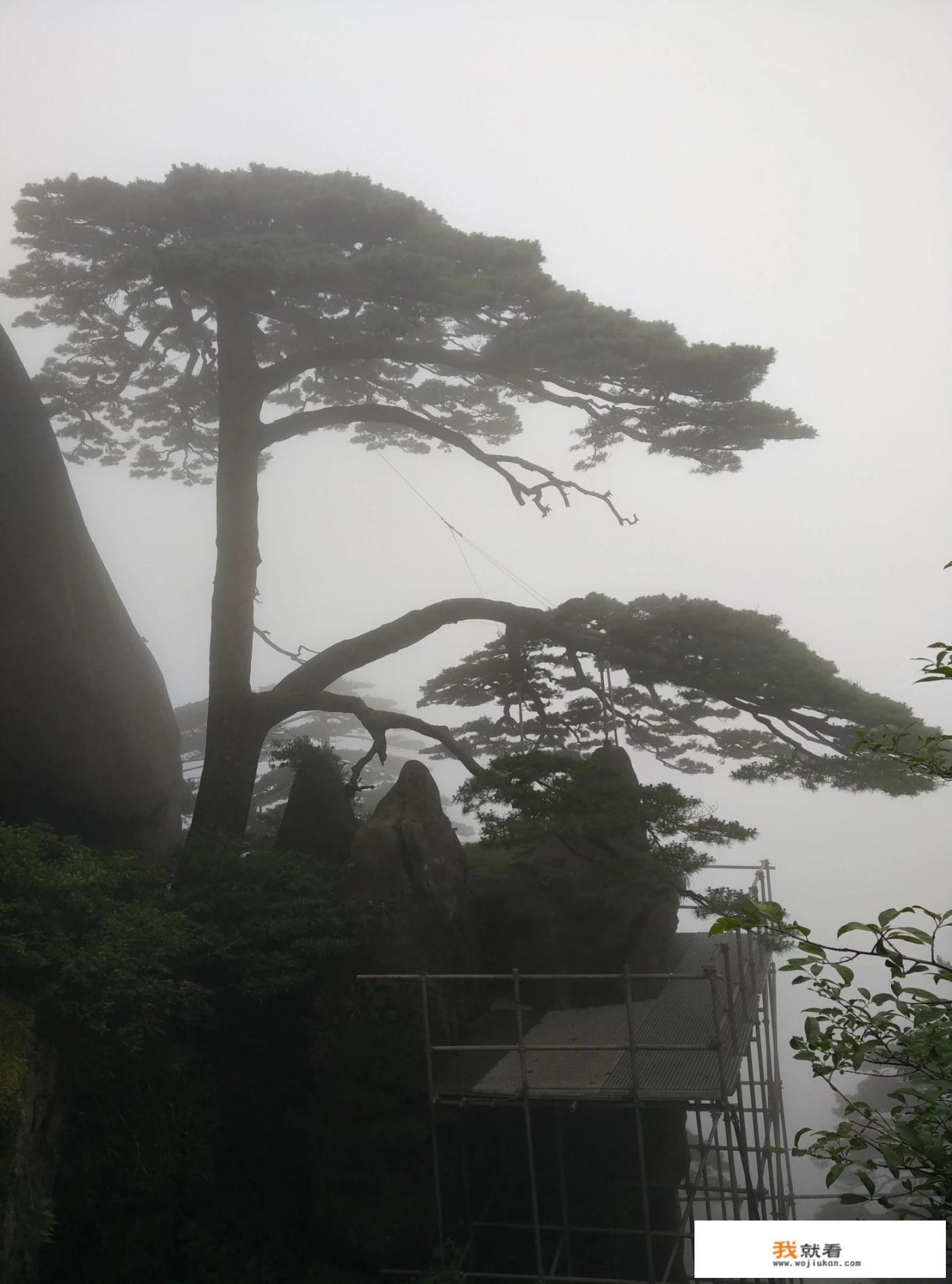 一家三口从郑州自驾去黄山，三天时间大约多少钱_春节去哪儿旅游好，哪个旅行社靠谱