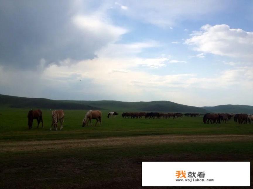 呼伦贝尔旅游，额尔古纳周边有什么自然风景比较优美_莫尔道嘎森林小火车运营时间