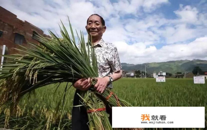 华为与袁隆平合作开发海水稻。你怎样看海水稻经济效益？是否可行_2020中国500强名人