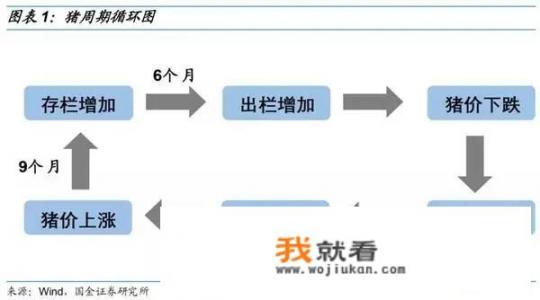 传闻广西一些地区生猪抛售严重，一头甚至卖到200～300元，是这样吗_贵港汽车去除异味价格