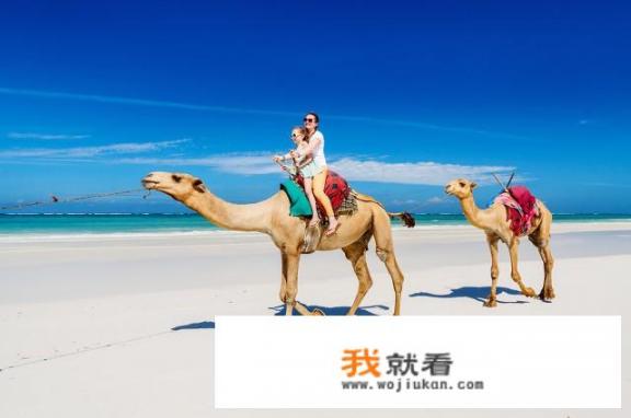 突发的新一波疫情，对我国旅游业影响到底有多大