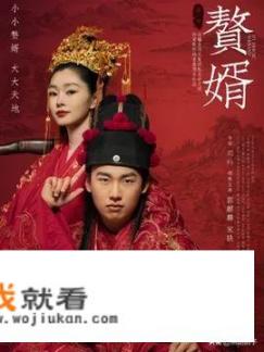 赘婿电视剧一共几集