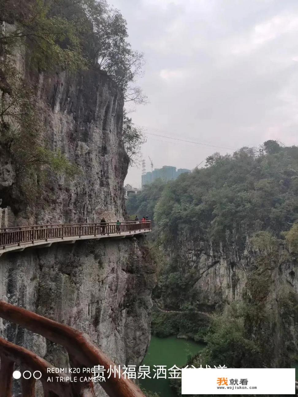 现在庐山景区对省外游客免票吗