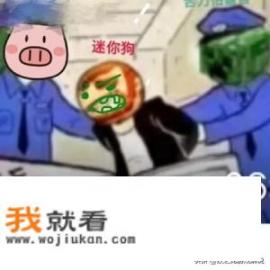 一个玩迷你世界的小学生，说mc玩家很幼稚，对此你怎么看