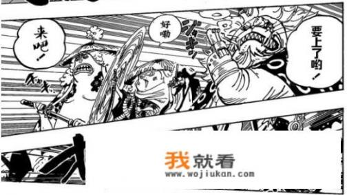 海贼王985话，作为少年漫画，猫蝮蛇以手为枪，犬岚以脚为刀是不是太残酷了