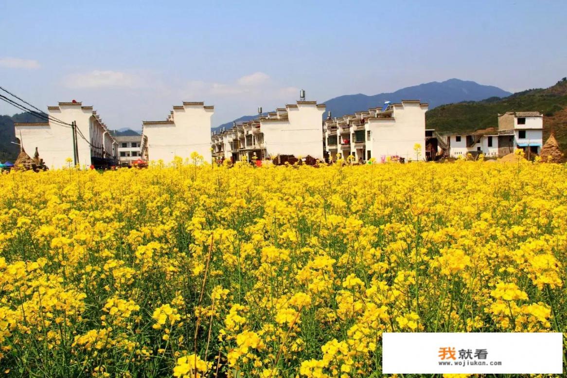 3、4月份适合去哪里旅游，哪里的景色比较美