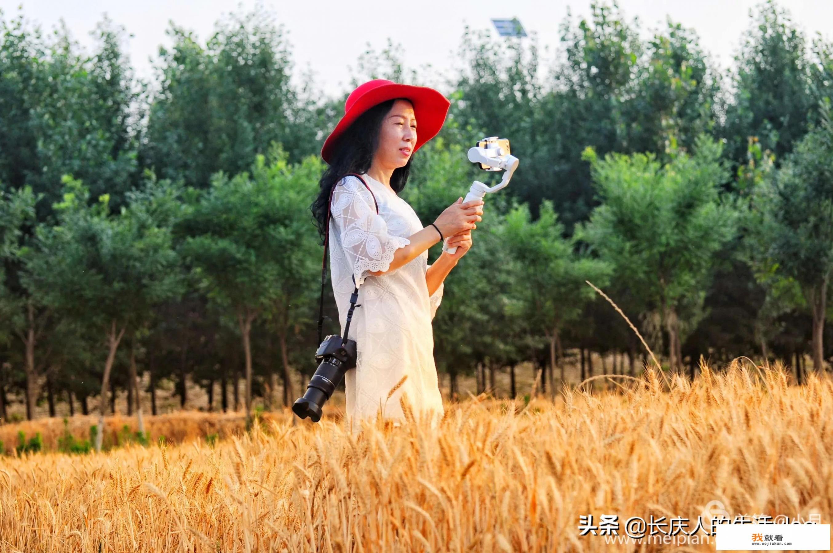 如何看待我国旅游市场的现状和发展趋势