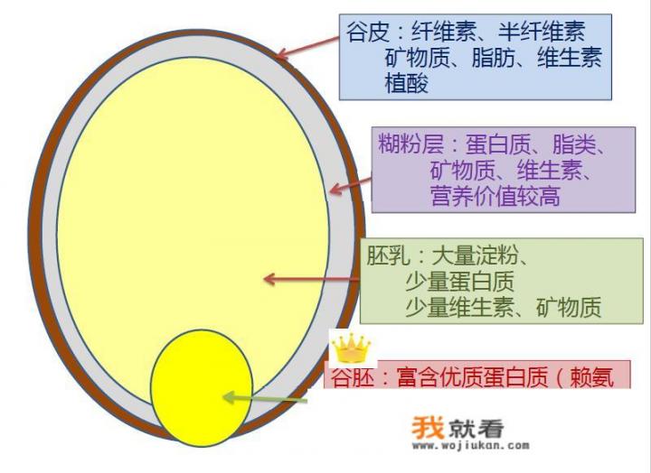 吃糙米饭可以减肥吗