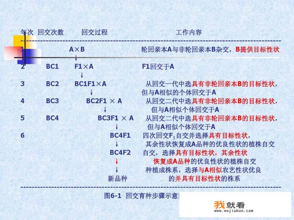 动物怀孕后会交配吗