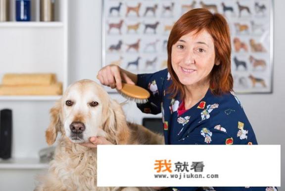 东德和马犬哪个适合家养