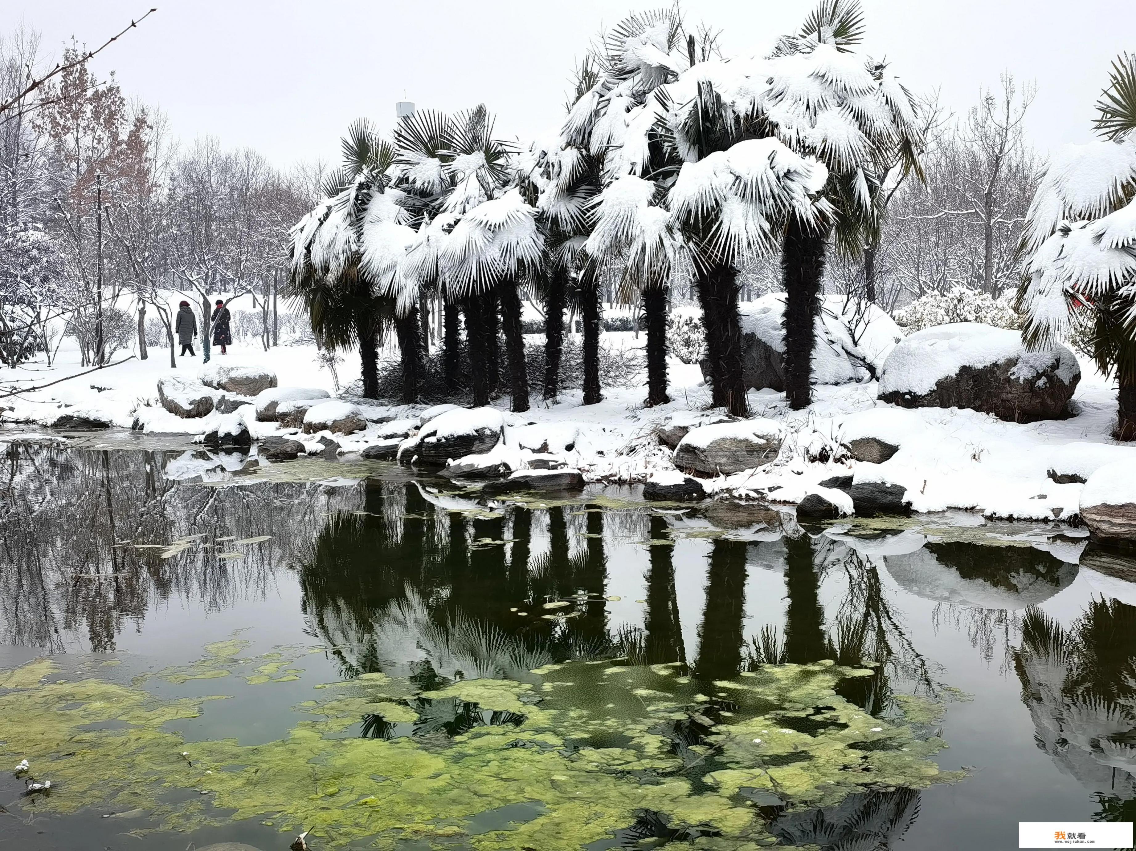 怎样发展乡村旅游业