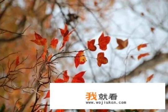 中国都有那些地方有姓”钟”的？人数多吗