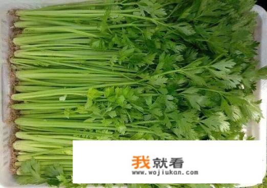 香菜和芹菜的功效一样吗？对身体健康有什么影响