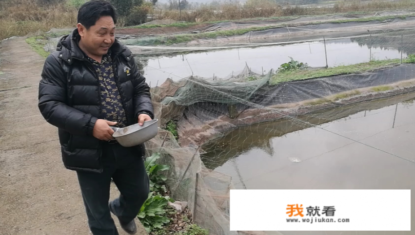 泥鳅苗怎么养