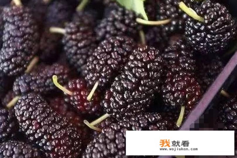 桑葚怎样洗得干净