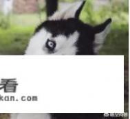 软件销售怎么找客户