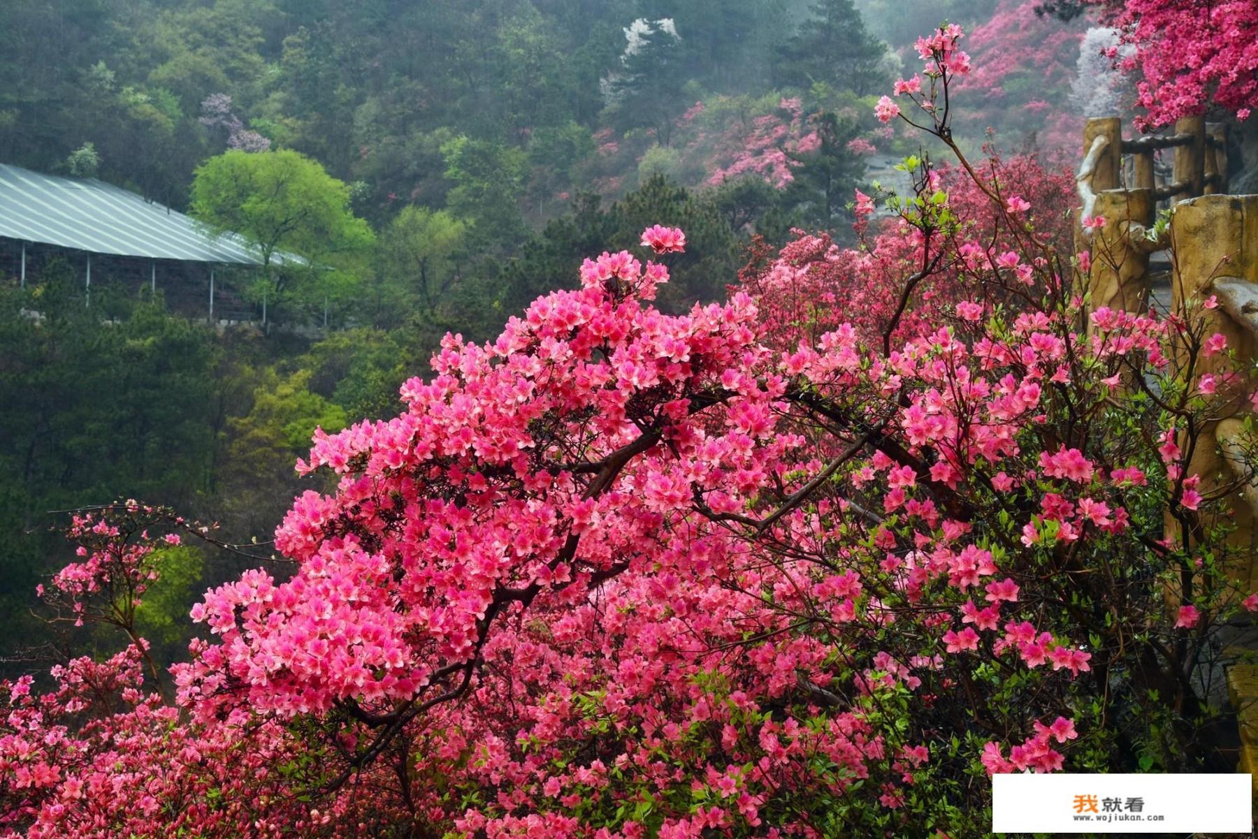 汉地祖山，武汉的黄陂云雾山为何久感觉盛不衰