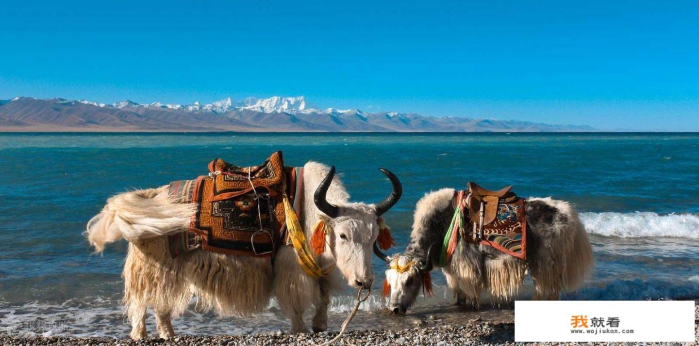 哪个地方适合自己一个人旅游