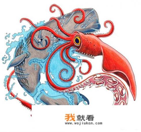 巨乌贼VS抹香鲸，哪个厉害