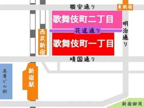 日本新宿夜生活攻略