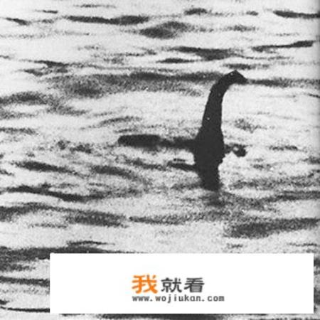 惊险刺激的怪兽电影有哪些
